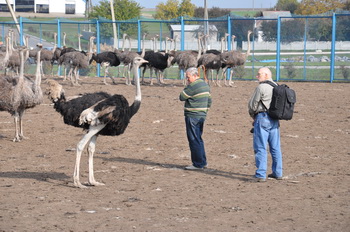 A visit of National Geographic&rsquo;s photojournalist to Agro-Soyuz