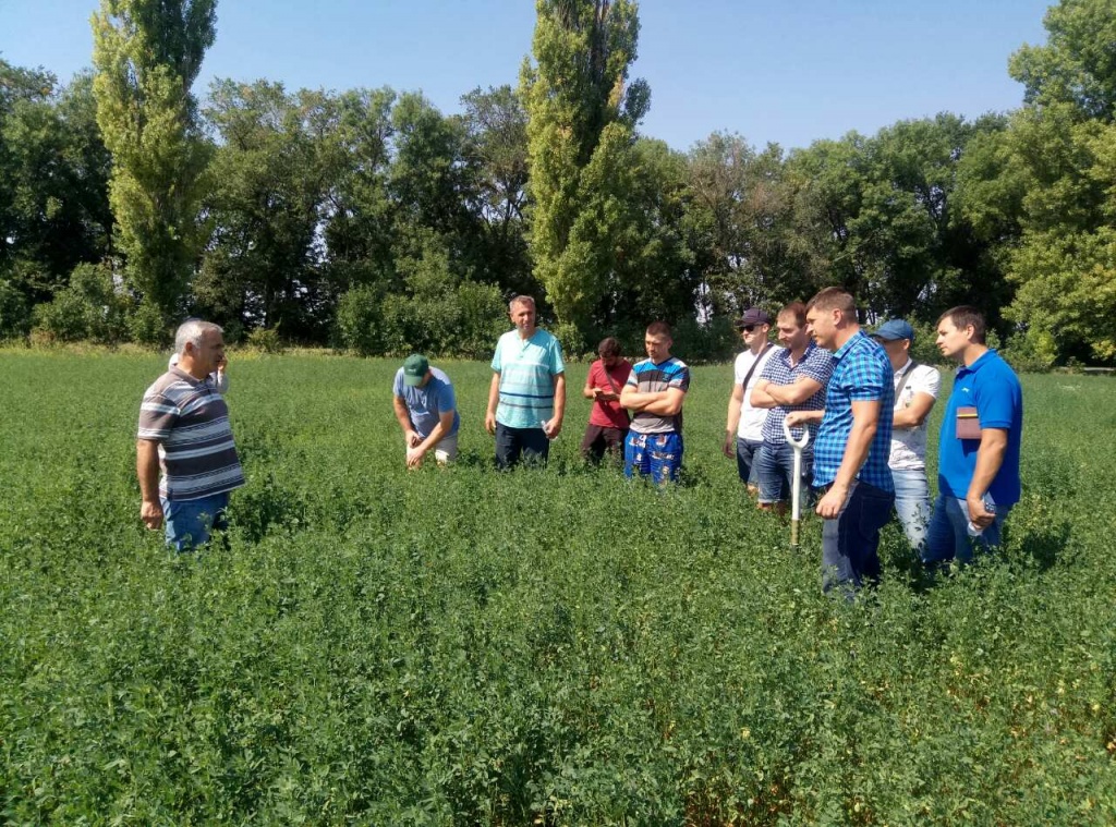 школа растениеводства в агро-союзе